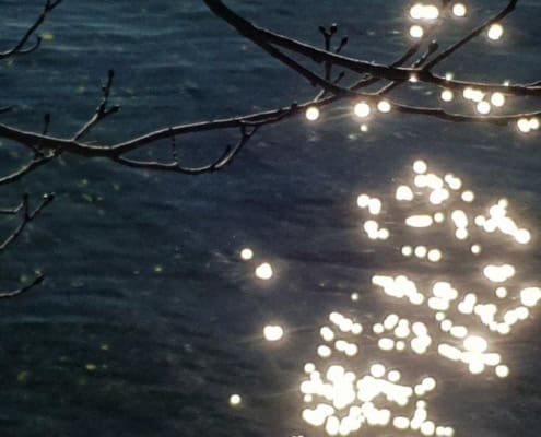 20190218_141909