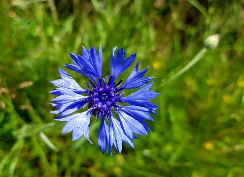 20190612_165847