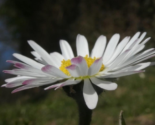 P1220431